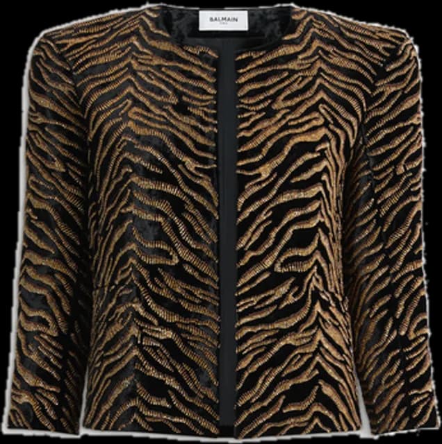 Balmain jacquard jacket